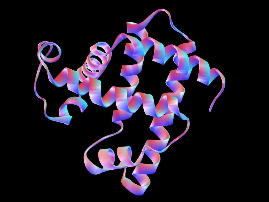 3D ribbon diagram of a complex protein structure